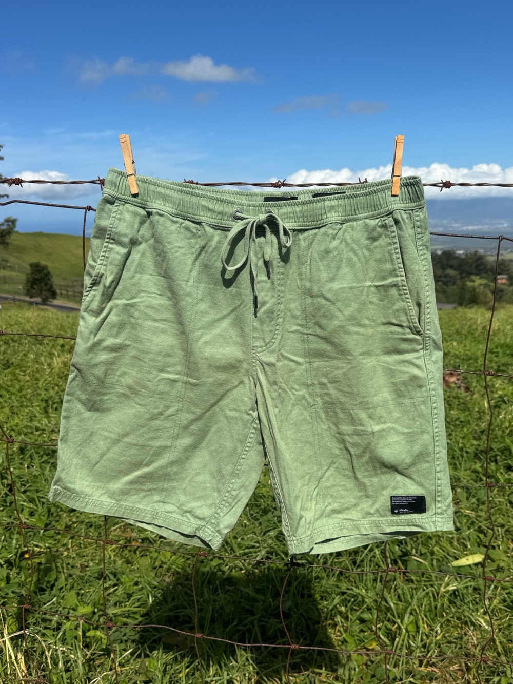 Men’s Afends hemp revolution Green Casual pull on Elastic waist Shorts  Xl